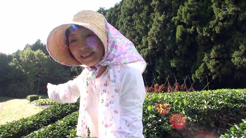 サンプル画像 2