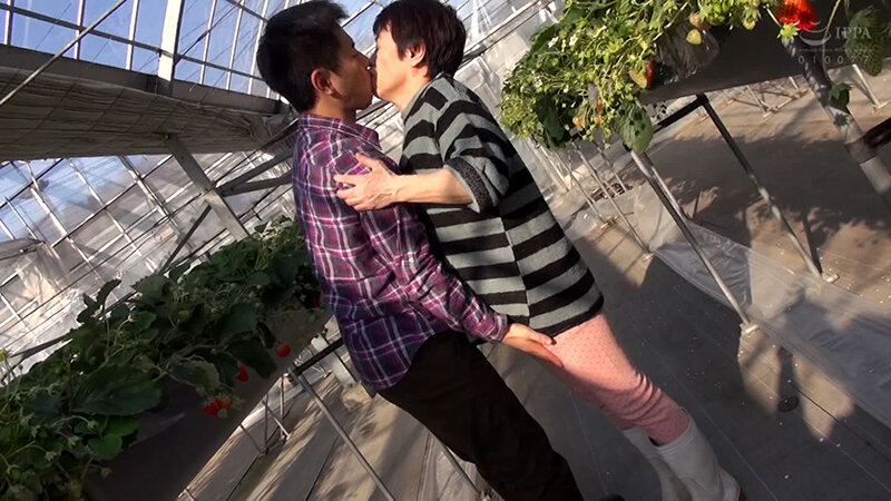 サンプル画像 2