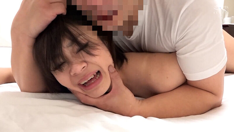 サンプル画像 18