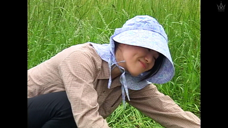 サンプル画像 2