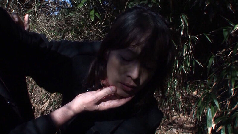 サンプル画像 12