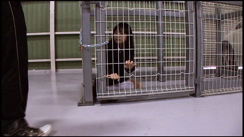 サンプル画像 6