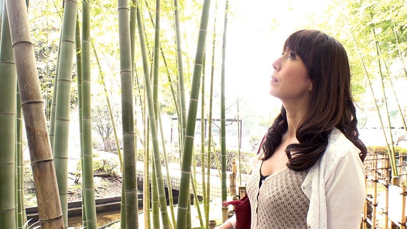 サンプル画像 8