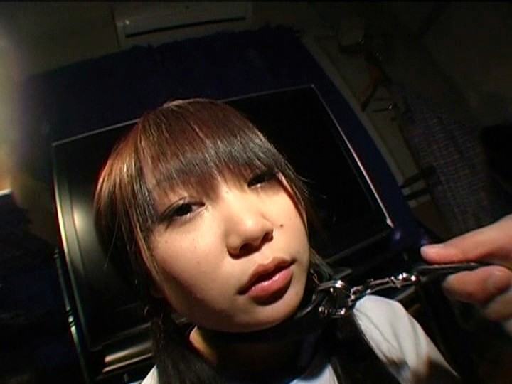 サンプル画像 16