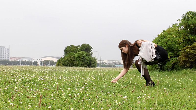 サンプル画像 13