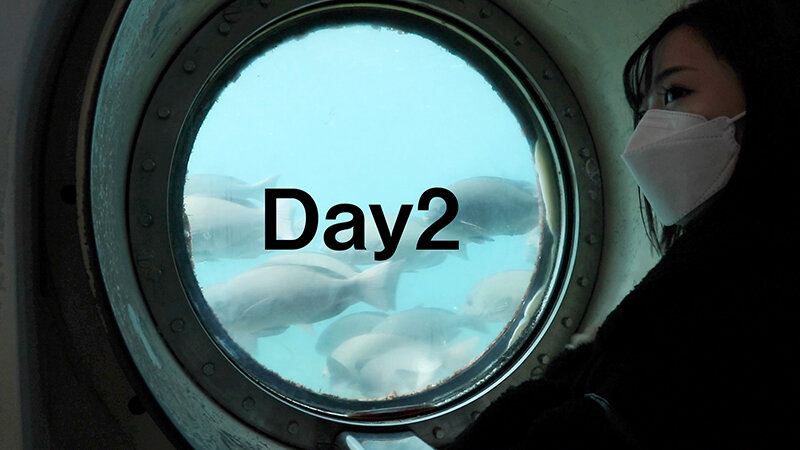 サンプル画像 13