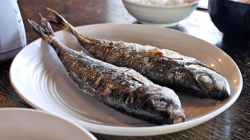 サンプル画像 19