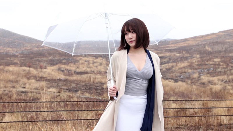 サンプル画像 11