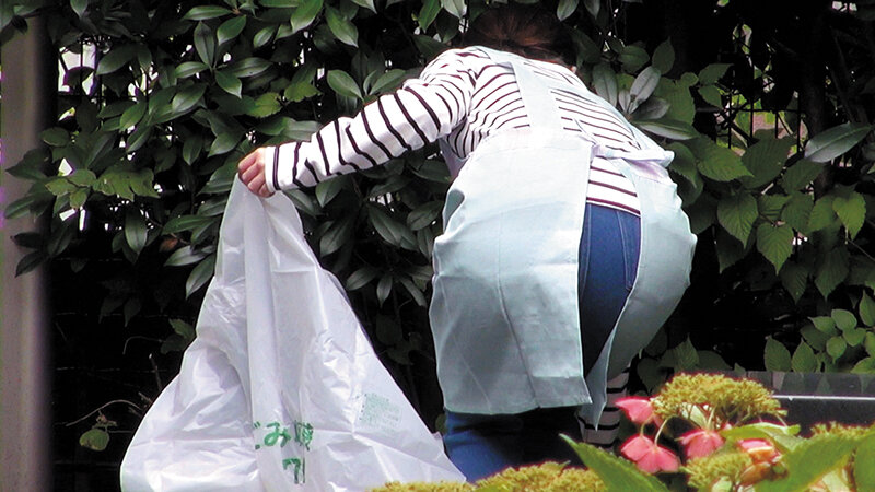 サンプル画像 3