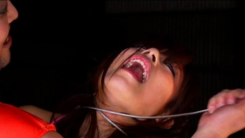 サンプル画像 14