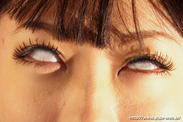 サンプル画像 16