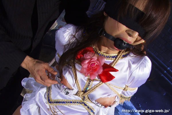 サンプル画像 13