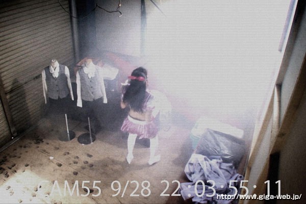 サンプル画像 3