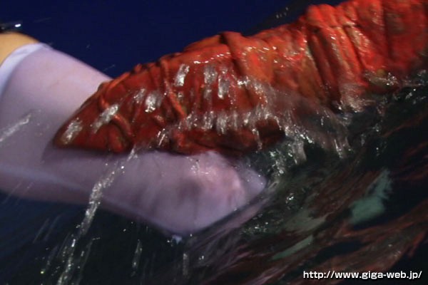 サンプル画像 8