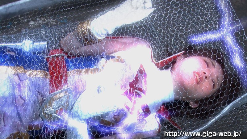 サンプル画像 14