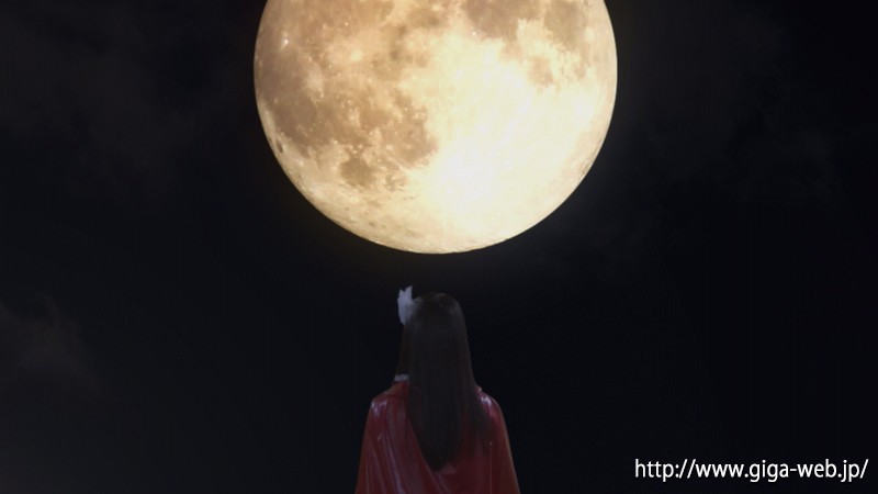 サンプル画像 3