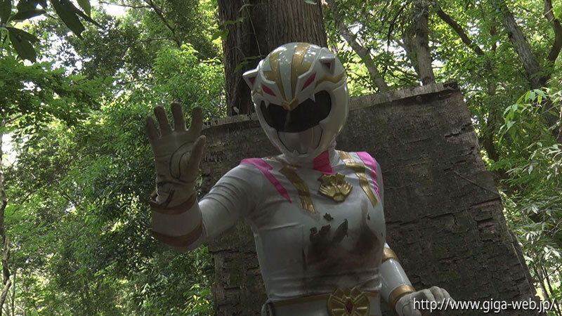 サンプル画像 11