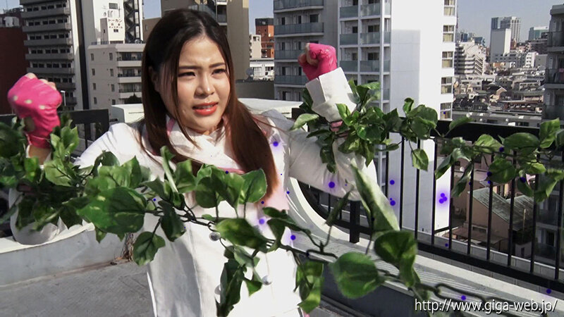 サンプル画像 2