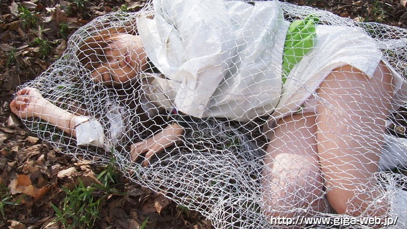 サンプル画像 5