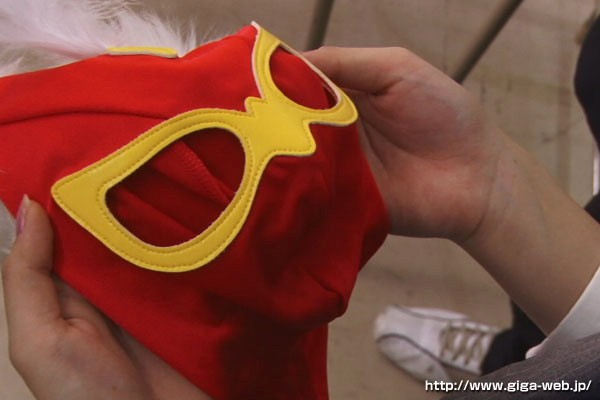 サンプル画像 5