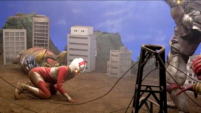 サンプル画像 16