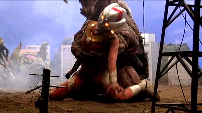 サンプル画像 21