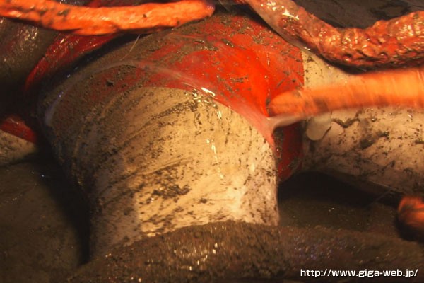 サンプル画像 13