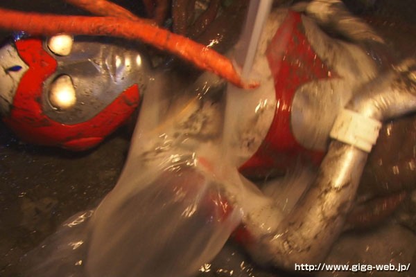 サンプル画像 15