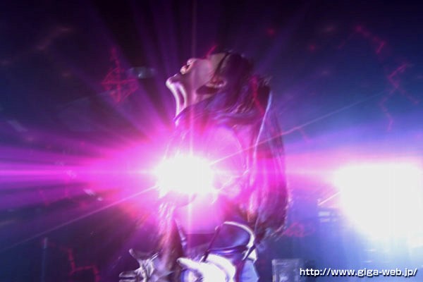 サンプル画像 13