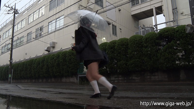 サンプル画像 5