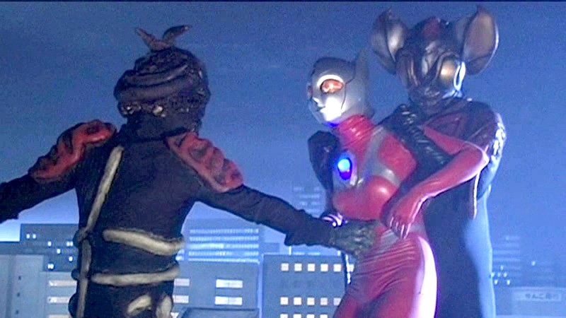 サンプル画像 9