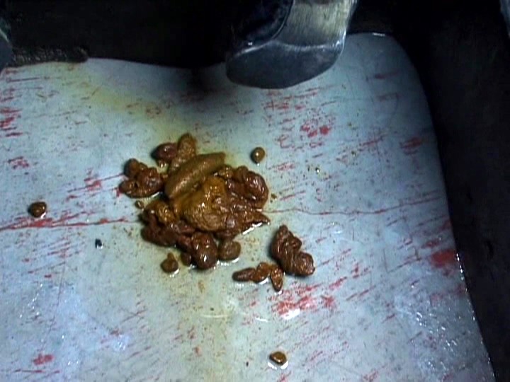 サンプル画像 11