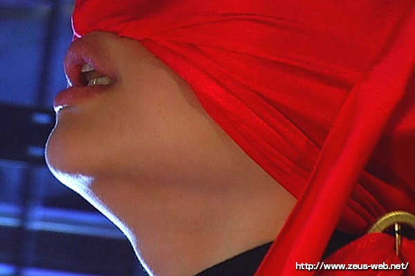 サンプル画像 11