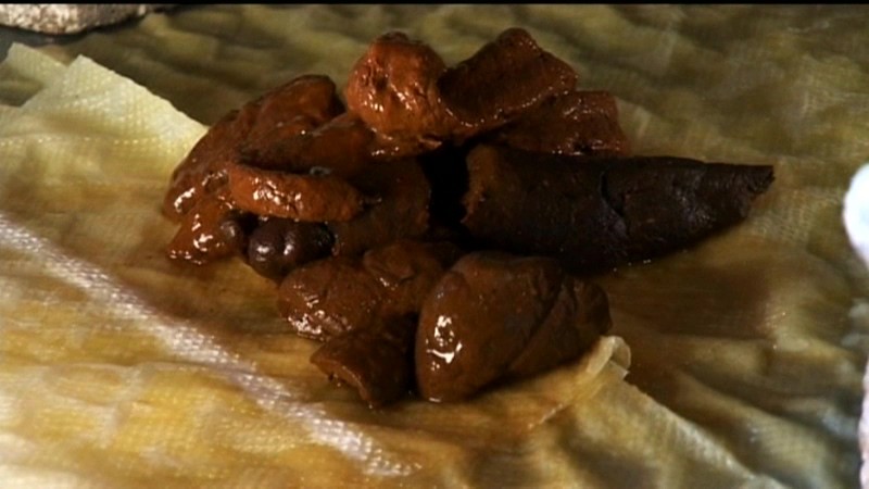 サンプル画像 15