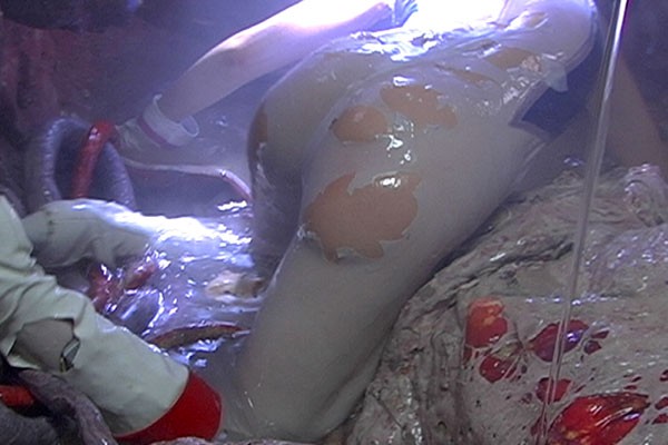 サンプル画像 17