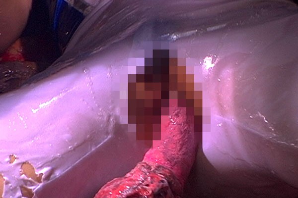 サンプル画像 8