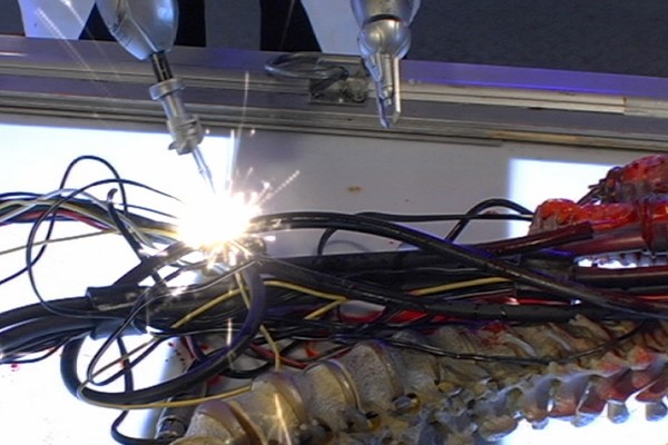 サンプル画像 5