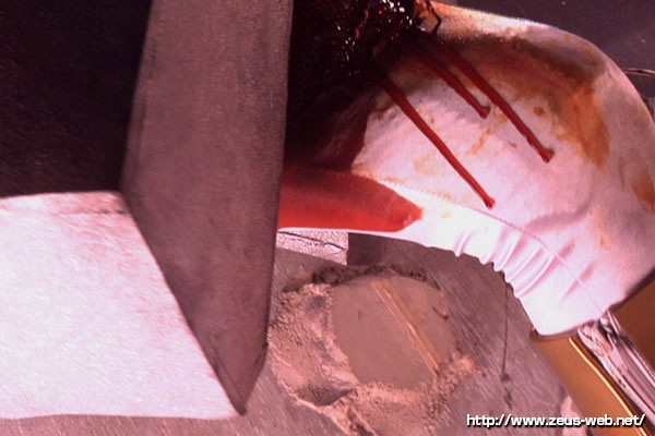 サンプル画像 12