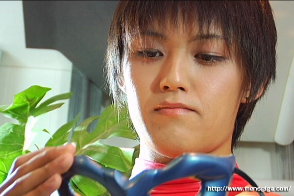 サンプル画像 6