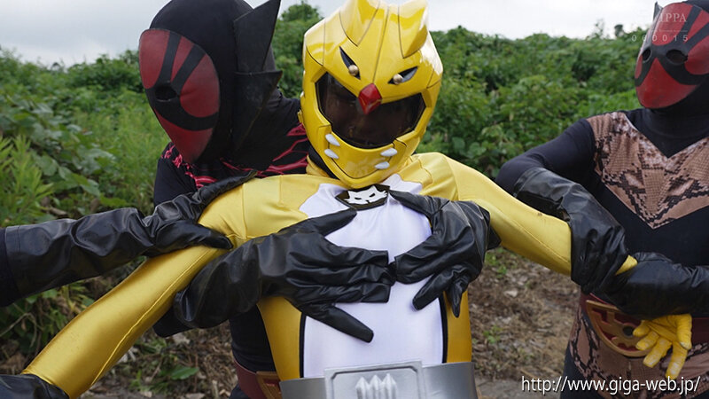 サンプル画像 3