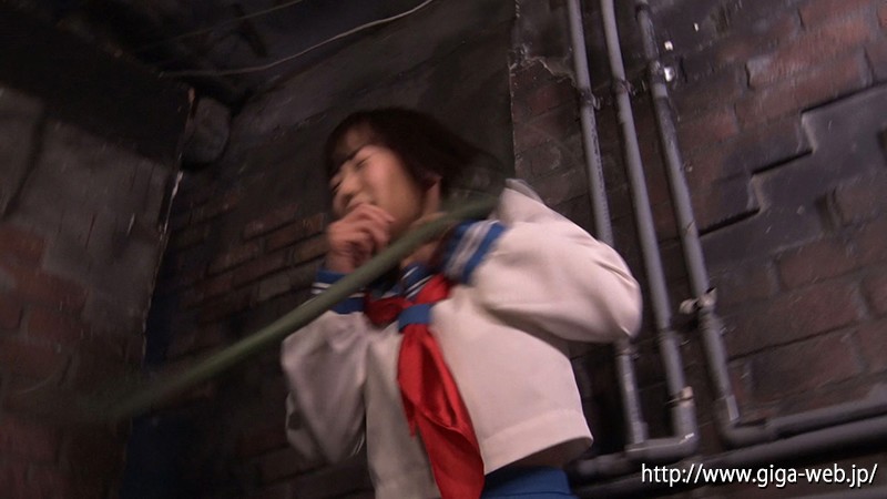 サンプル画像 3