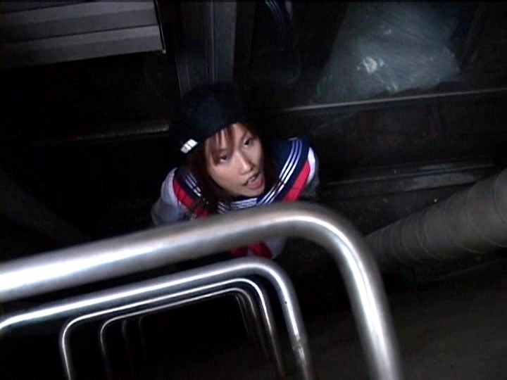 サンプル画像 3