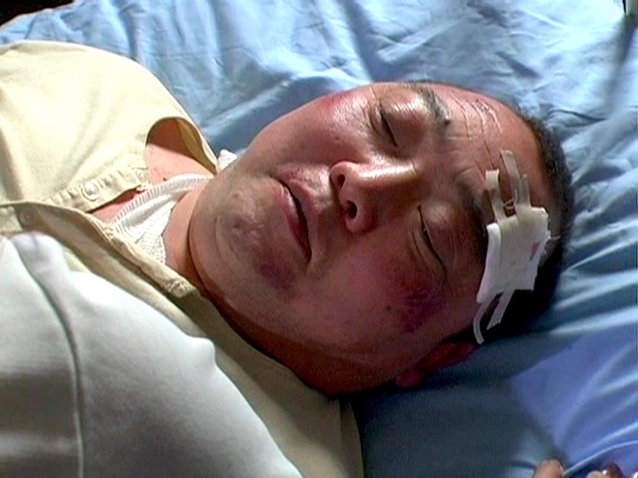 サンプル画像 6