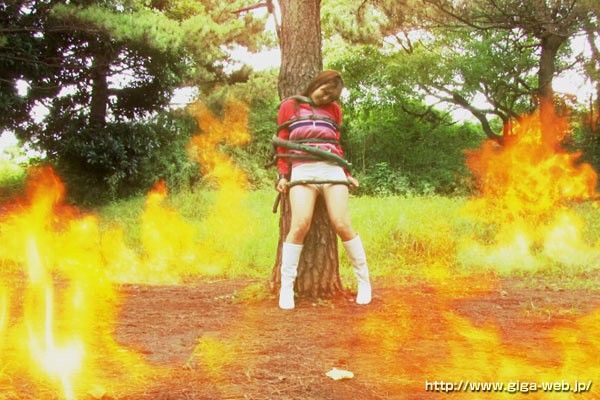 サンプル画像 5