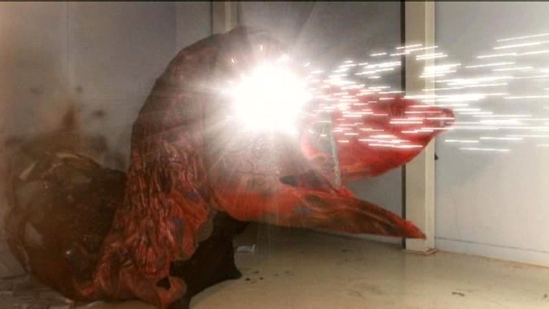 サンプル画像 10