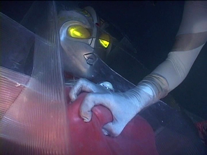 サンプル画像 16