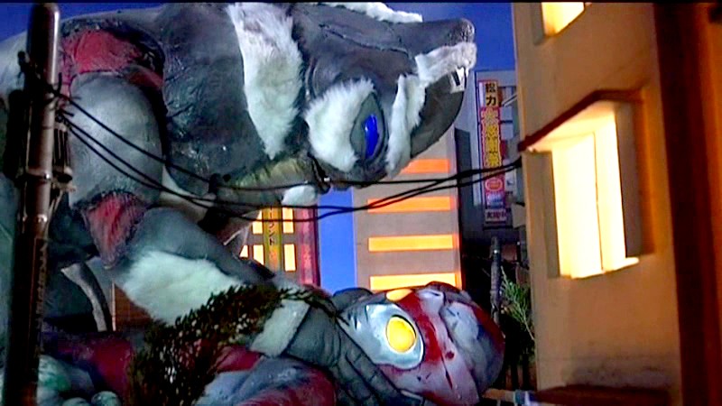 サンプル画像 13