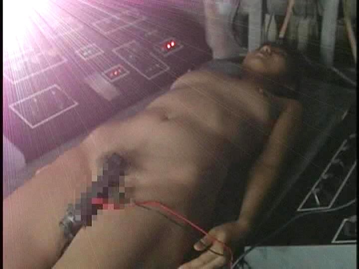 サンプル画像 2