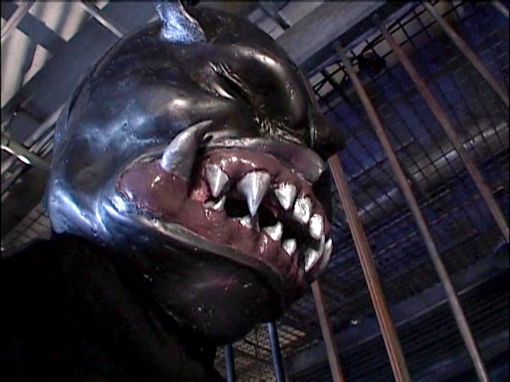 サンプル画像 8