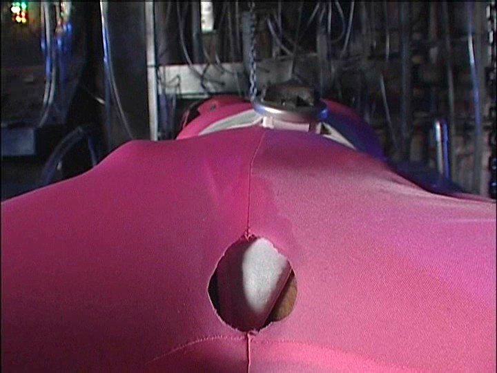 サンプル画像 10